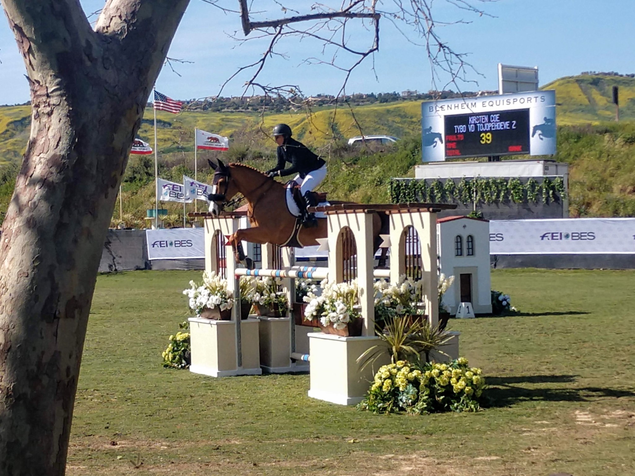 img_20190331_153930636