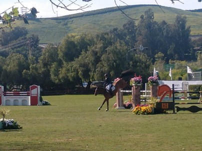 img_20190331_160330999